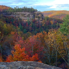 Natural Bridge State Park